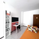 Rent 9 bedroom apartment in Trento