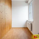 Rent 1 bedroom apartment in Brno