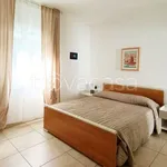 Rent 2 bedroom apartment of 50 m² in Massa