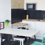 30 m² Studio in berlin