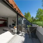 Rent 7 bedroom apartment of 186 m² in Essen