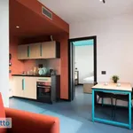 Rent 1 bedroom apartment of 37 m² in Milan