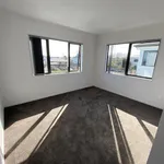 Rent 4 bedroom house in auckland