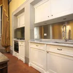 Rent 5 bedroom apartment of 205 m² in Lucca