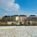 Rent 1 bedroom apartment of 41 m² in Linköping