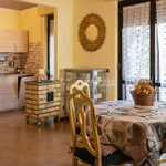 Rent 2 bedroom apartment of 40 m² in Viareggio