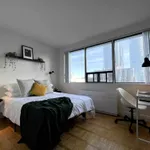 Rent 1 bedroom apartment in Old Toronto