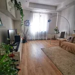 Rent 3 bedroom apartment of 60 m² in Trieste