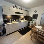 Pronajměte si 3 ložnic/e byt o rozloze 57 m² v Prague