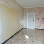 Rent 2 bedroom apartment of 51 m² in Sant'Anastasia