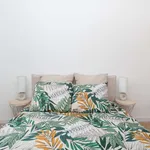 Rent a room in Queluz