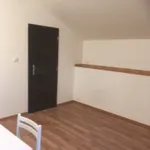 Rent 1 bedroom apartment in Děčín