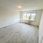 Rent 2 bedroom apartment of 41 m² in Ostrava