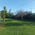 Alquiler Casa con Finca en Quintes, Villaviciosa. 1.650 €