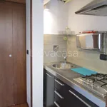 Rent 1 bedroom apartment of 40 m² in Firenze