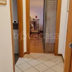 Rent 2 bedroom apartment of 55 m² in Portogruaro