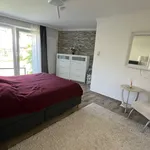 Rent 3 bedroom apartment of 93 m² in Köln