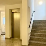 Rent 1 bedroom apartment of 36 m² in Chemnitz