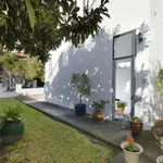 Rent 1 bedroom apartment in Petersham