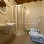 Rent 4 bedroom apartment of 120 m² in Firenze