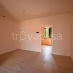 Rent 2 bedroom apartment of 48 m² in Almè