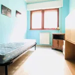 Rent a room of 80 m² in rome