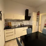 Rent 4 bedroom apartment of 110 m² in Piacenza