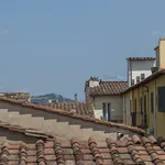 Rent 4 bedroom apartment of 81 m² in Florence