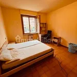 Rent 3 bedroom apartment of 100 m² in Perugia