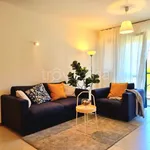 Rent 2 bedroom apartment of 65 m² in Bergamo