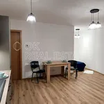 Pronajměte si 1 ložnic/e byt o rozloze 34 m² v Modřice