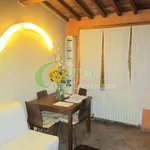 2-room flat via Raffaello Caverni, Centro, Montelupo Fiorentino