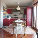 Rent 4 bedroom apartment of 100 m² in Colorno