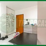 Rent 1 bedroom apartment of 35 m² in Gallarate