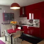 Rent 3 bedroom apartment of 80 m² in Lecce