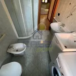 Rent 2 bedroom apartment of 50 m² in Cremona