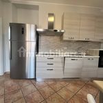 Rent 3 bedroom apartment of 65 m² in Biella