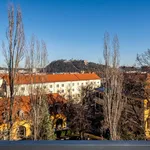 Rent 4 bedroom apartment of 35 m² in Graz