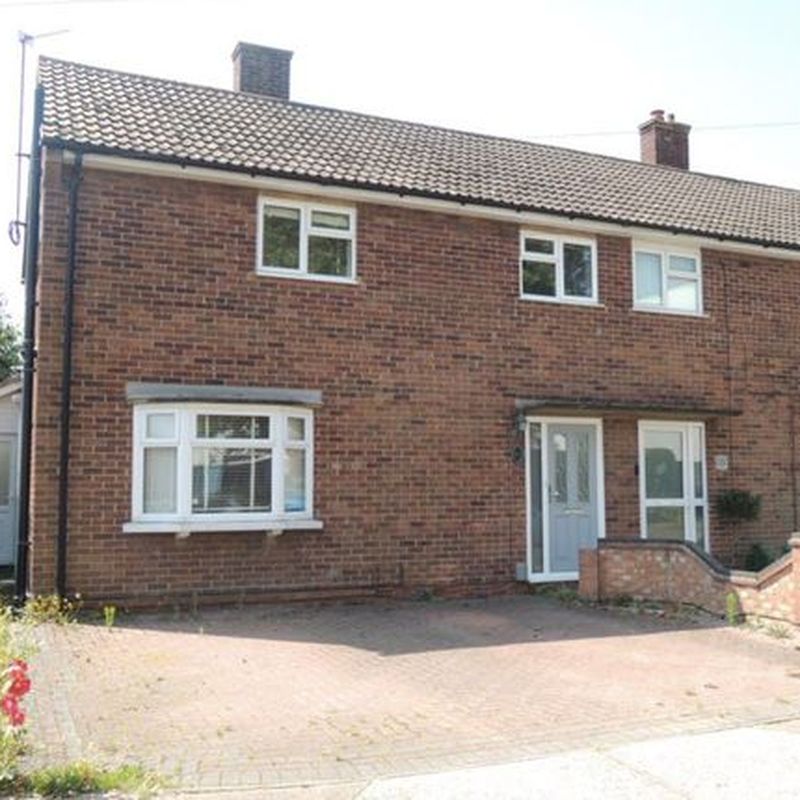 Property to rent in Acacia Avenue, Colchester CO4 Hornestreet