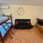 Rent 3 bedroom apartment of 80 m² in Caserta