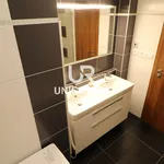 Rent 3 bedroom apartment in Brno