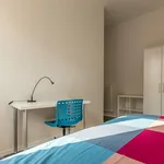 Rent 4 bedroom apartment in Bologna