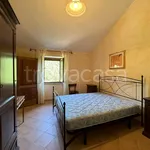 Rent 2 bedroom apartment of 43 m² in Pietralunga