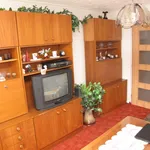 Rent 1 bedroom house of 364 m² in Brno