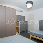 Rent 3 bedroom apartment of 75 m² in Torino