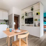 Rent 1 bedroom apartment of 38 m² in Padua