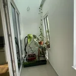 Rent 1 bedroom apartment of 51 m² in berlin