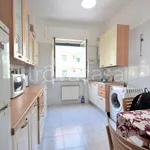 Rent 1 bedroom apartment of 54 m² in Genova