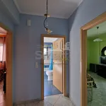 Rent 1 bedroom house of 90 m² in Municipal Unit of Movri