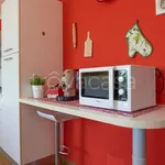 Rent 3 bedroom apartment of 110 m² in Busca